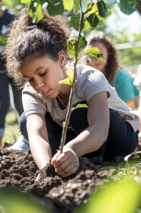 Girl planting a tree